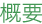 概要